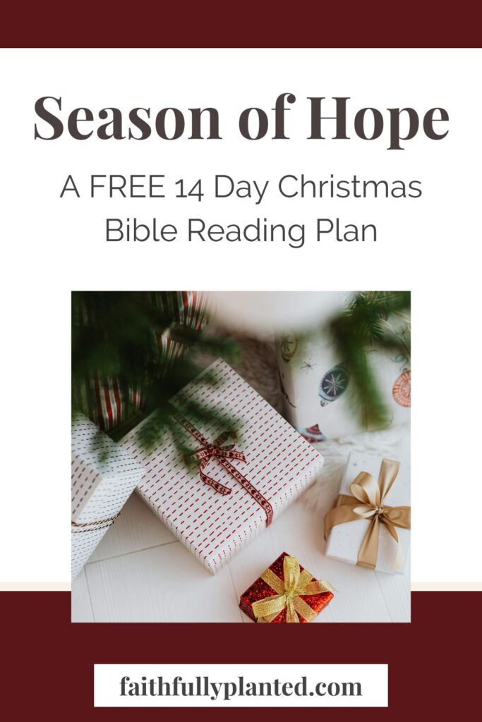 Christmas Bible reading plan pdf