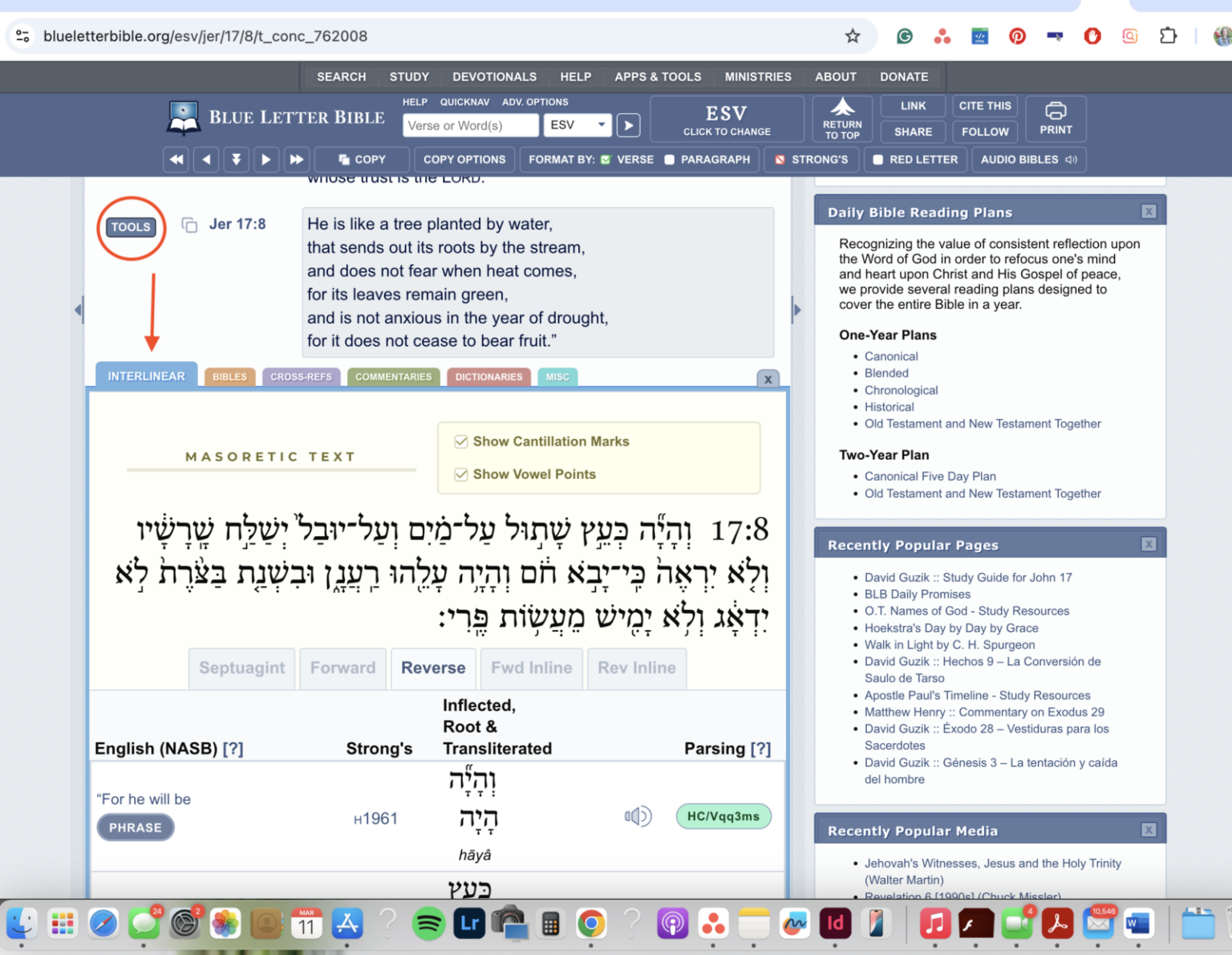 How to Do a Bible Word Study: A Step-By-Step Guide - Faithfully Planted